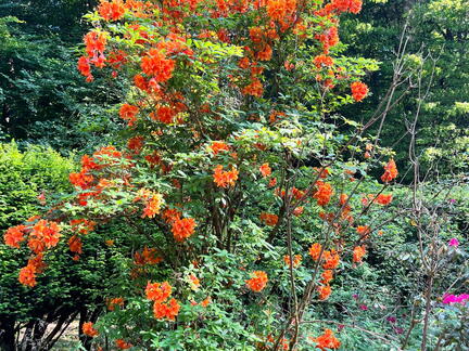 23-06-03 16-51-14 5802